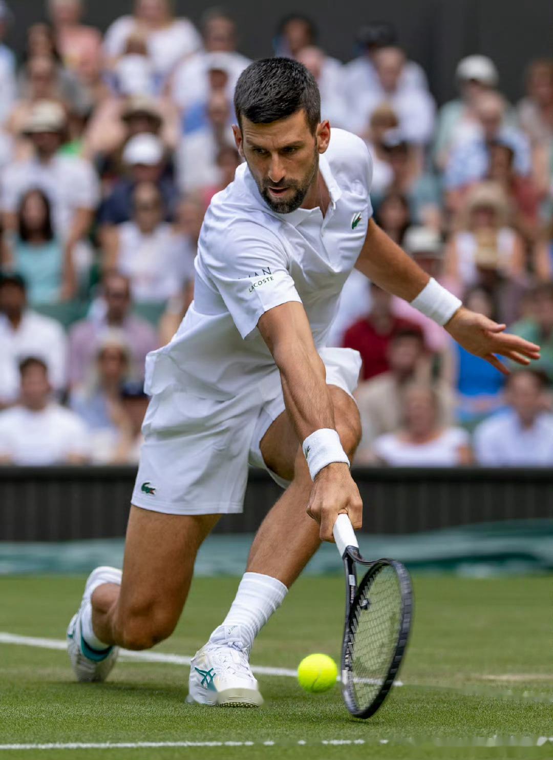 开云官方入口-德约科维奇重要时刻战术调整，瑞士队带队取胜！